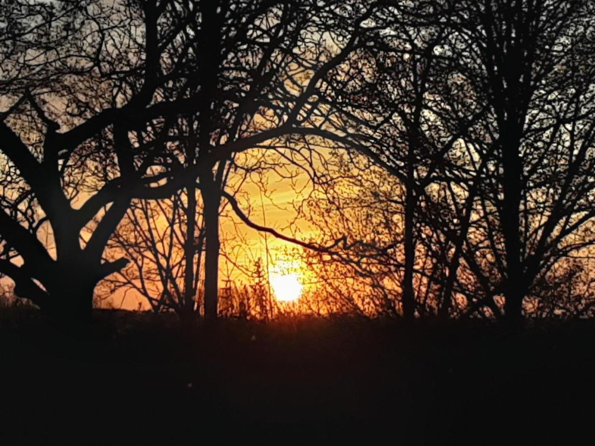 Villa Commune Poldersview Sluis Buitenkant foto