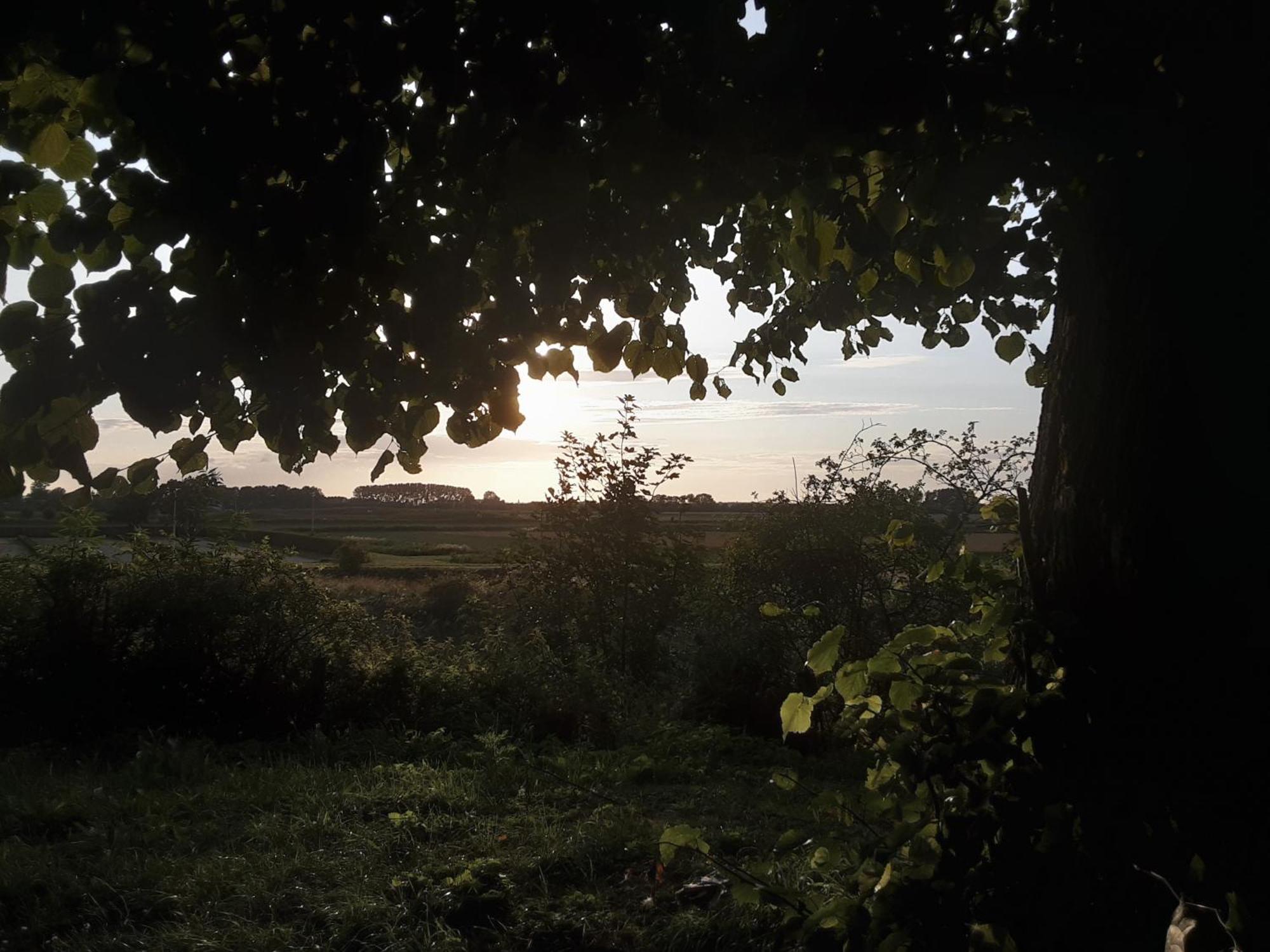 Villa Commune Poldersview Sluis Buitenkant foto